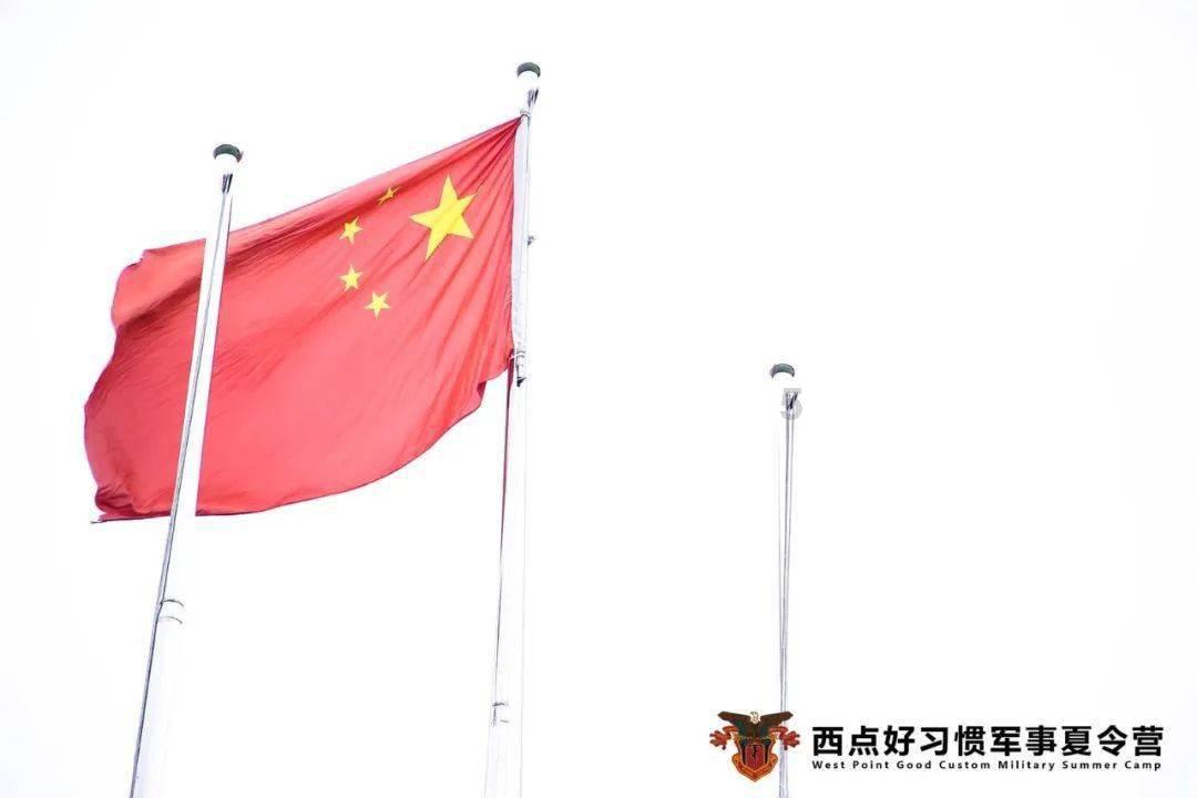 救援萌老虎